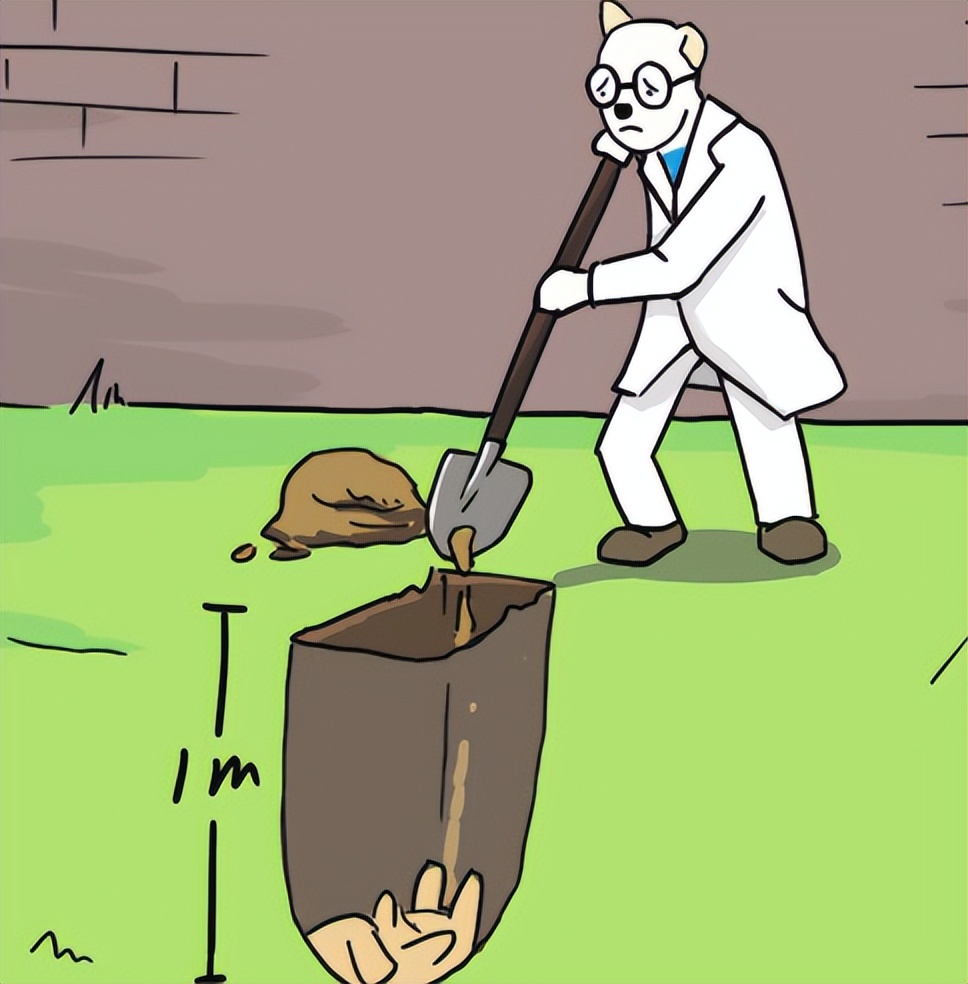 埋葬死猫的功德,看见死猫埋掉是做善事吗