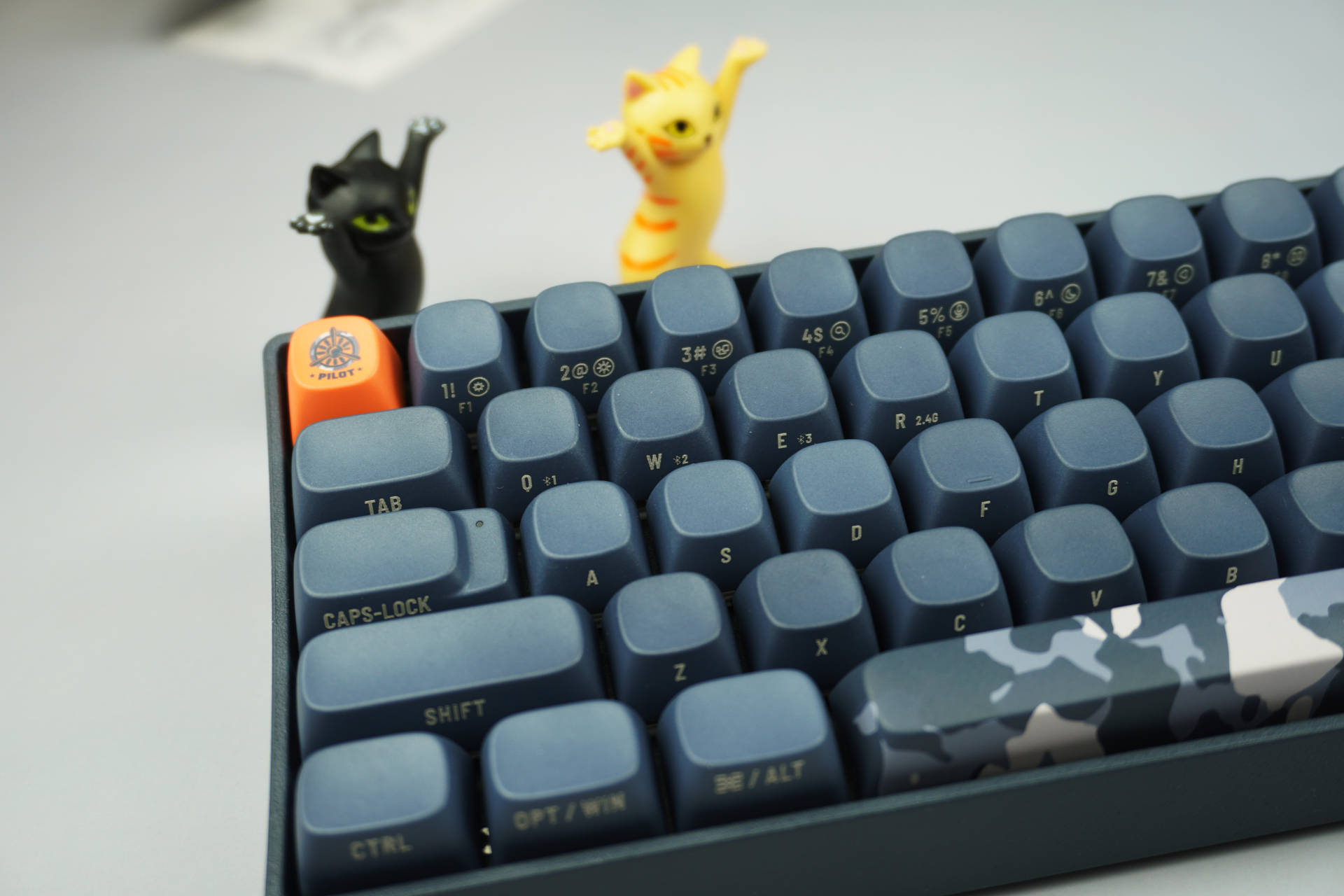 论颜值洛斐有话说！小翘新配色有点意思