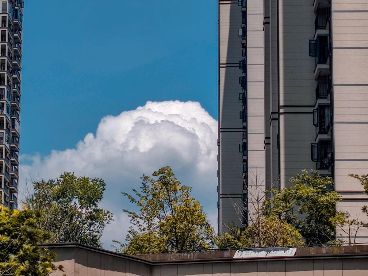 “配置没输过，体验没赢过”小米12 SPro下一代钉子户