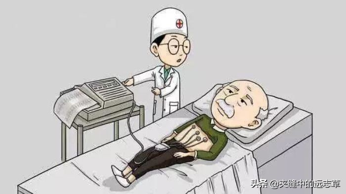 冠心病、高脂血症，多因淤血停，送你味中，血管的清道夫