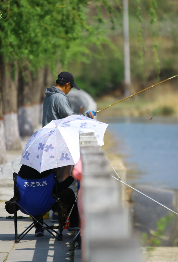 初夏未夏，抓住春天的尾巴~
