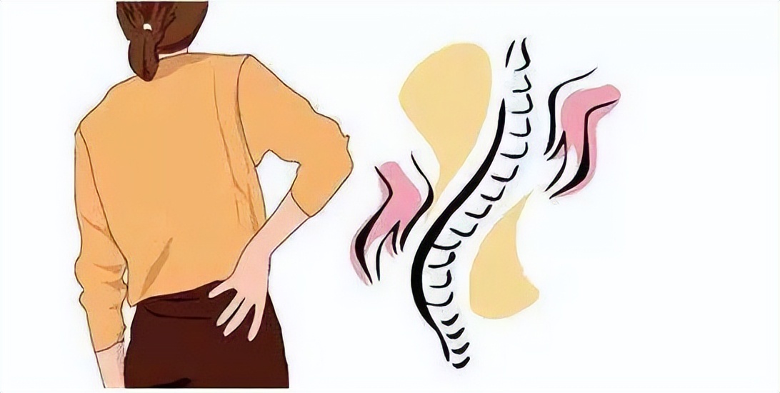 在椎间隙当中有一个解剖组织就叫做椎间盘,椎间盘是由两部分组成,一个