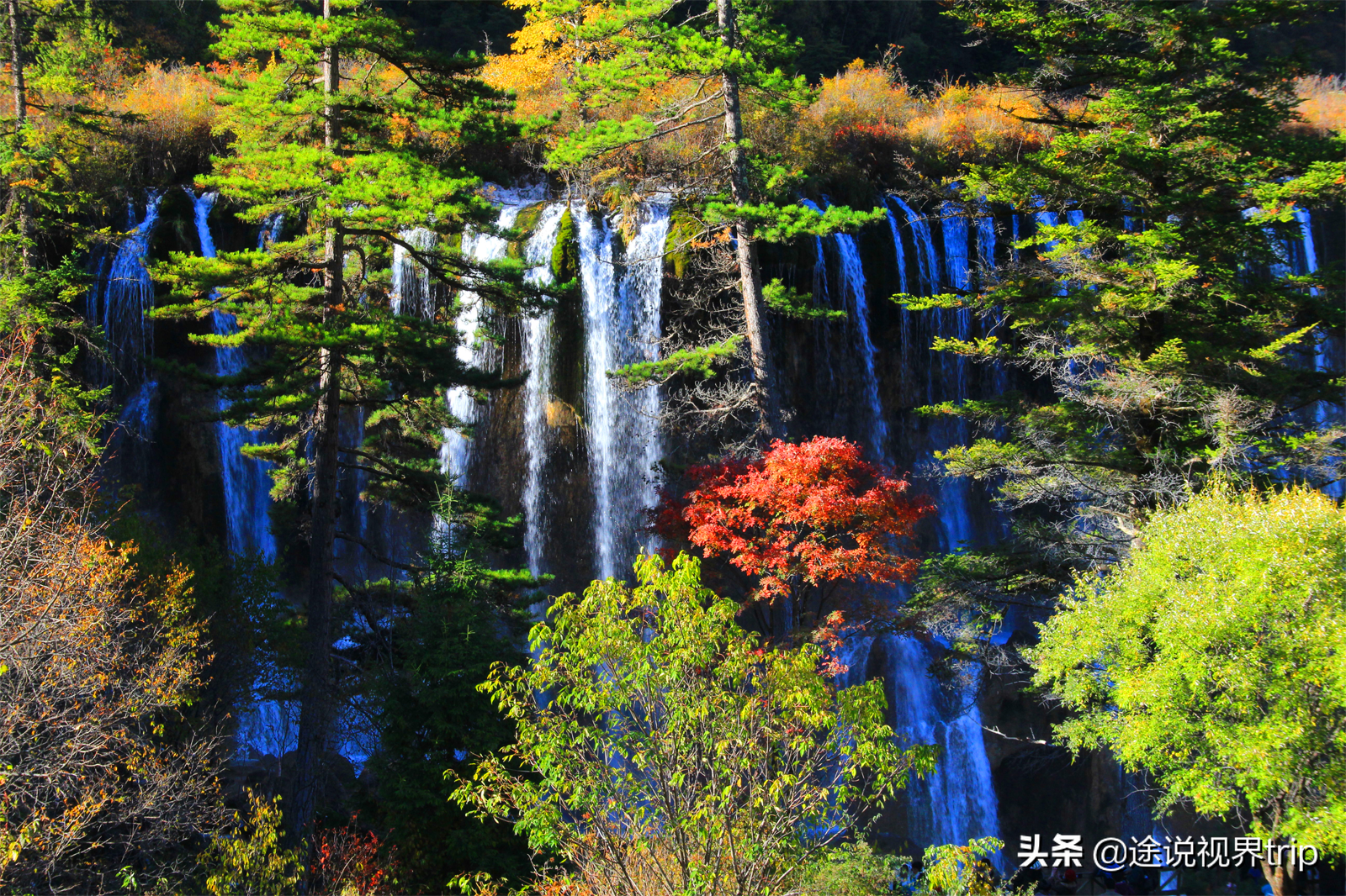 九寨沟在四川哪个城市（位于四川省九寨沟县）-第21张图片