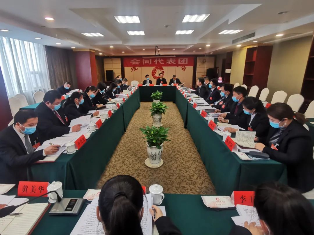 各代表团分组审议政府工作报告