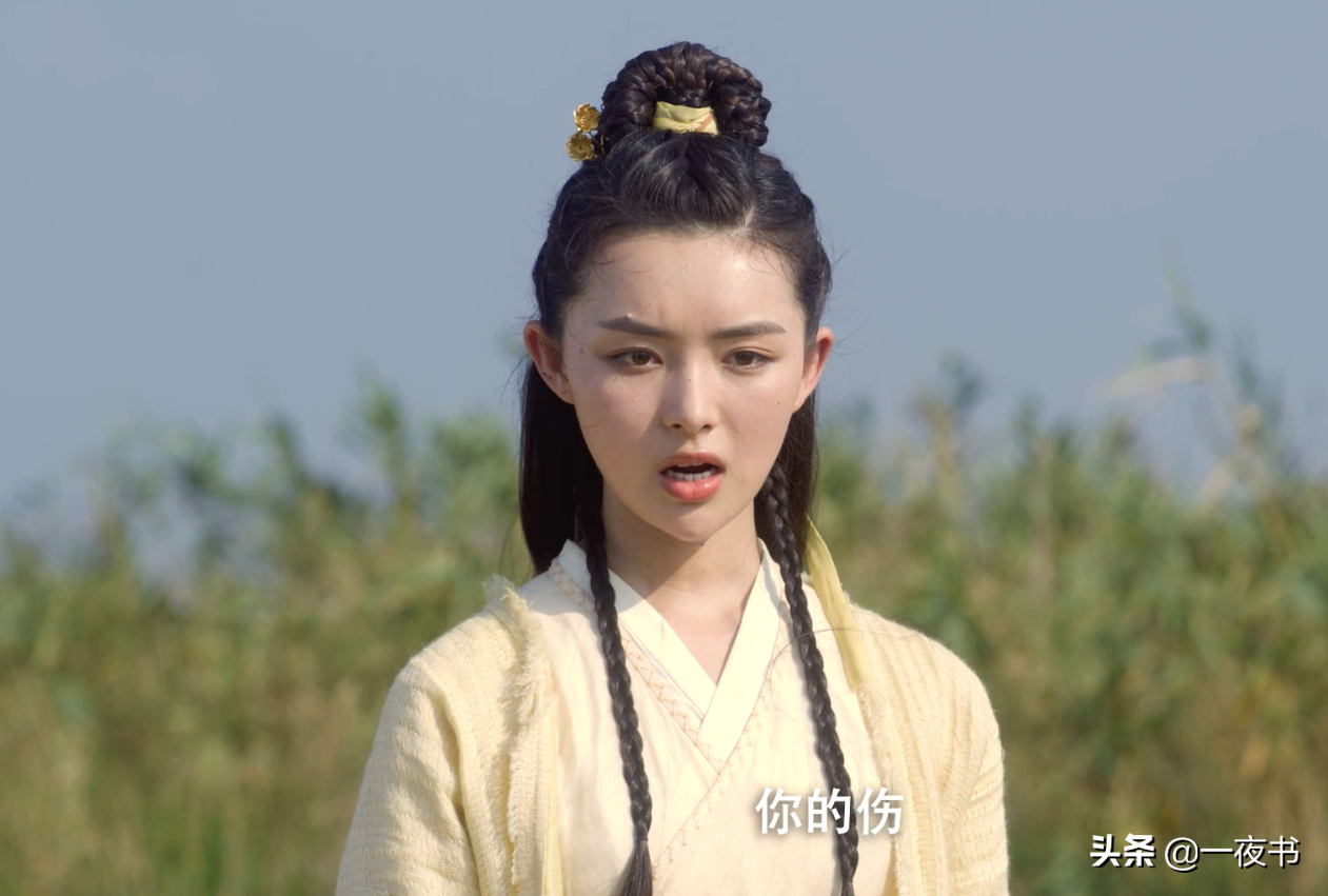 雪中悍刀行：徐凤年金屋藏裴南苇，赵珣策反舒羞？还做了几天的皇帝