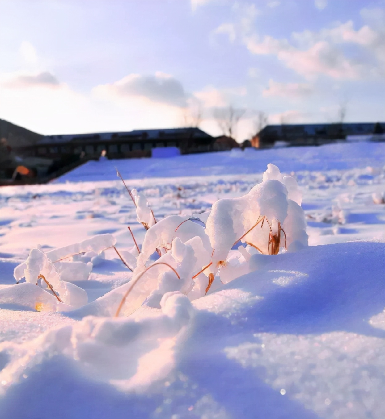 赞美冰雪的现代诗句(「原创诗词」管恩锋 | 若无瑞雪催春发 哪有千花焕彩颜（咏雪20首）)