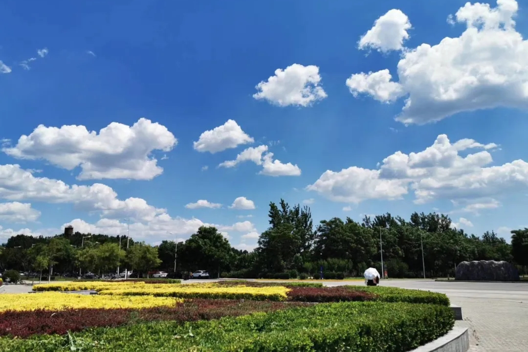 新增中国画专业！天津师范大学发布2022年艺术类招生专业及范围