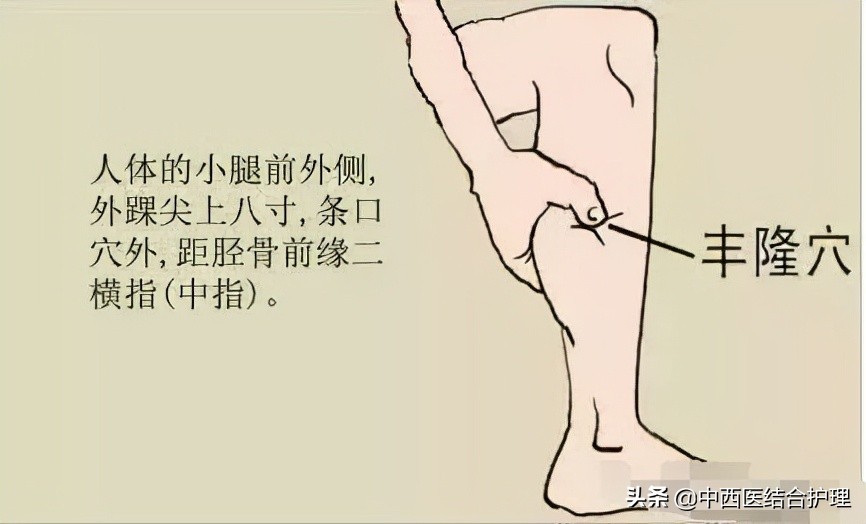 腿部穴位经络图(腿部经络图6条走向)-友友