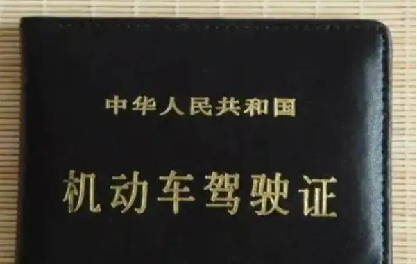 备案驾驶证档案编号查询不到（备案驾驶证档案编号查询不到怎么办）-第2张图片-昕阳网