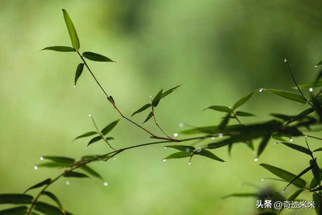 人到中年｜尊严从不是别人给的，而是自己赚的！