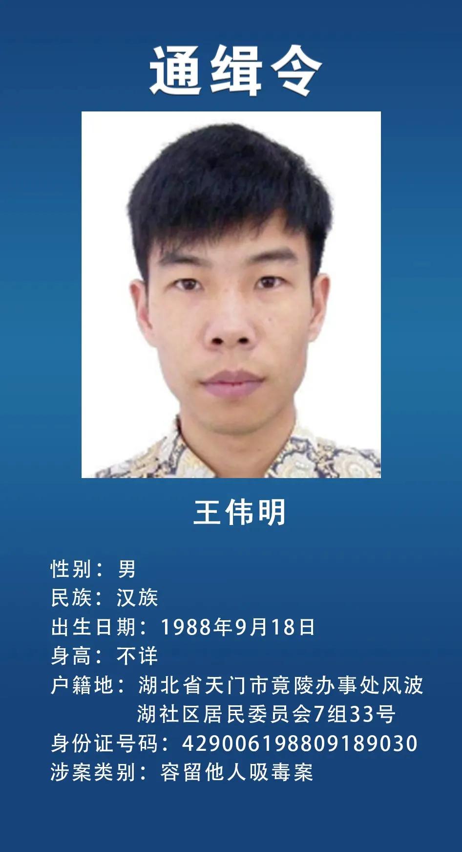 网上通缉犯,网上通缉犯怎么查