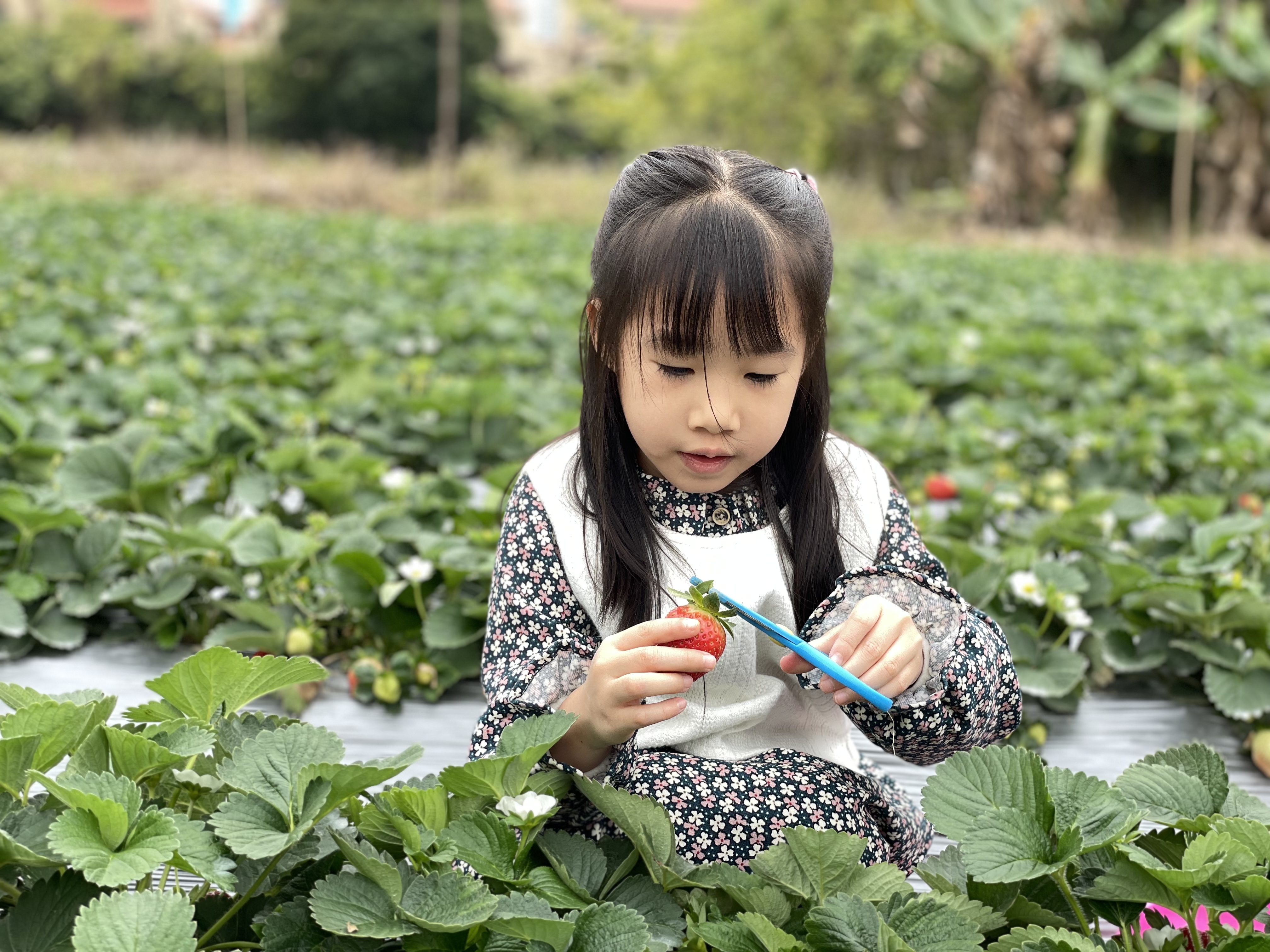 广东泡温泉去哪里？记得收藏广州后花园南昆山的游玩一站式攻略