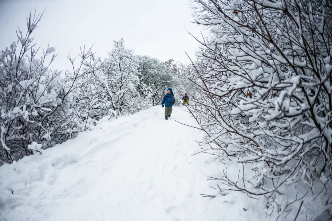 下雪啦！这10首“雪诗”，最适合带着孩子一起读