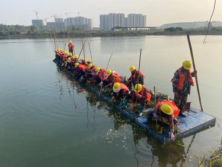 武漢市東西湖區(qū)杜公湖國家濕地公園舊貌換新顏