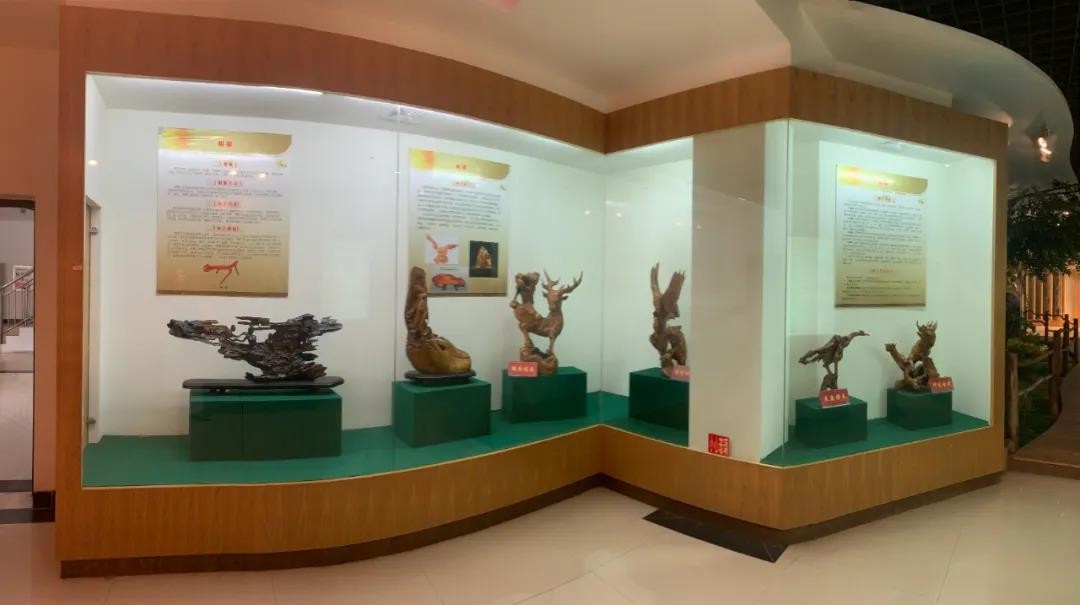 建筑面积820平米！湖北“超火”标本馆,上榜省级名单，可免费参观