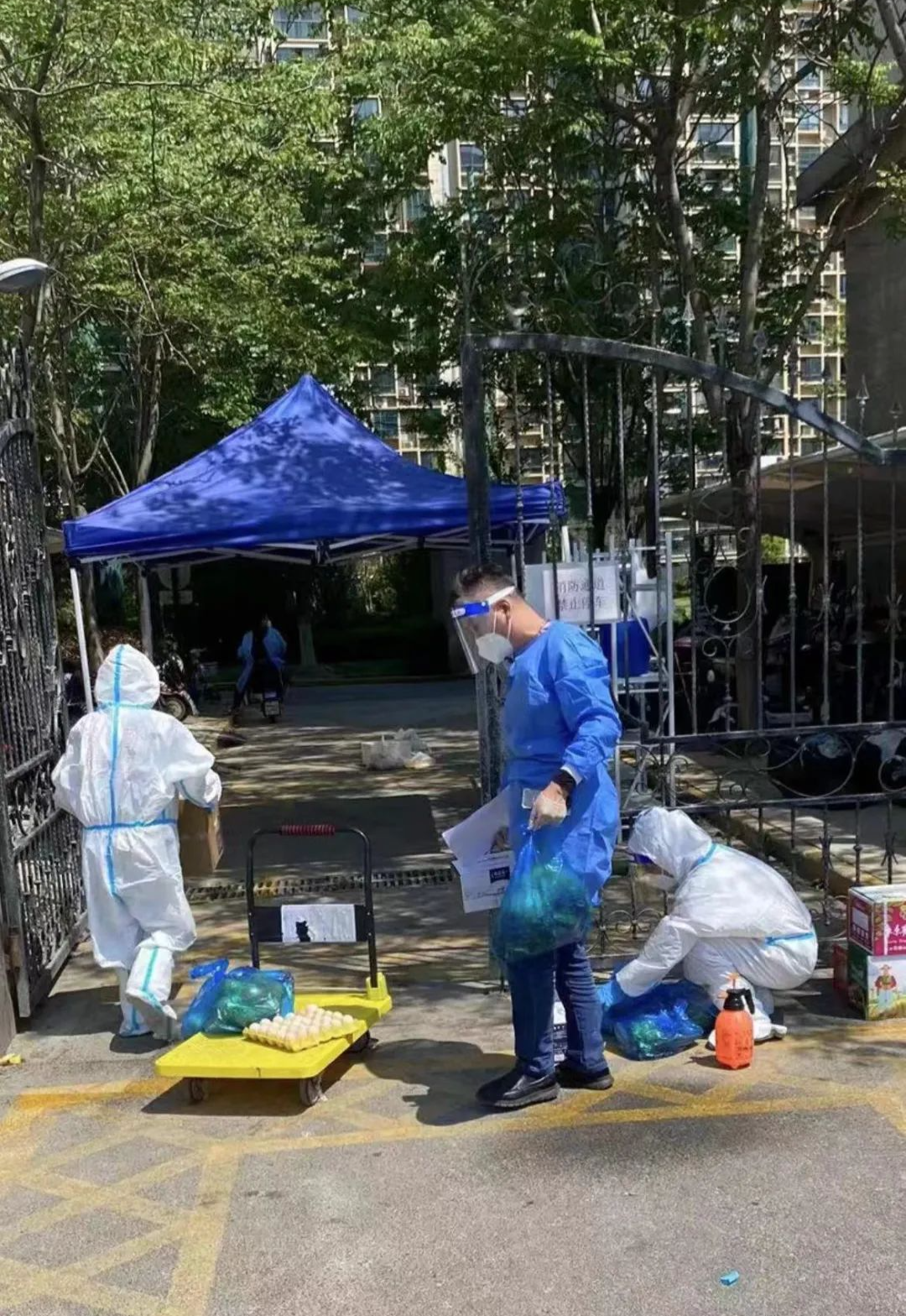 来酷科技强大供应链体系发挥重要作用，保障上海战区来酷员工