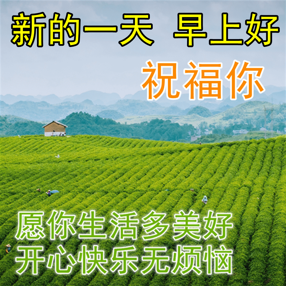 最美夏日风景早上好图片带祝福语 好看的夏天早安问候图片带字精选