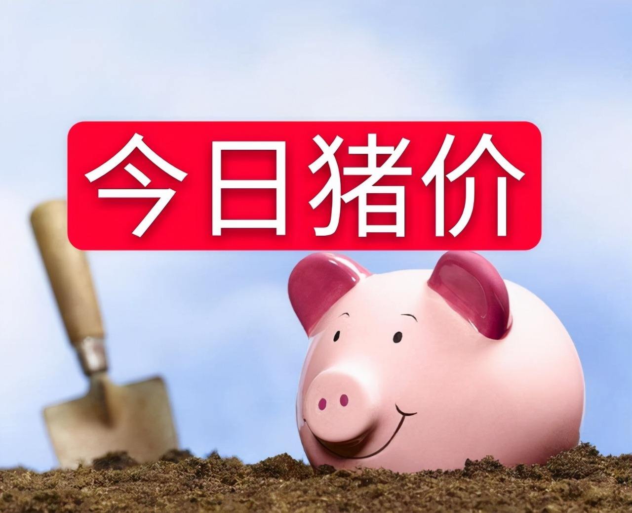2022年11月24日四川猪价行情：5连跌之后，猪价迎来最新转折点
