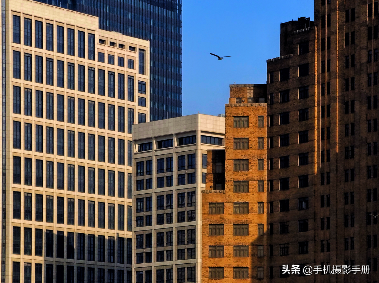 我的手机摄影教程能在电视台播出，主要得益于这5个好习惯