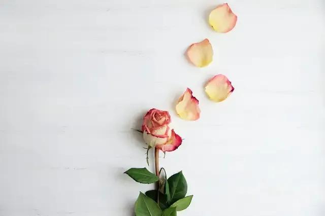 如何找一家靠谱的代理公司