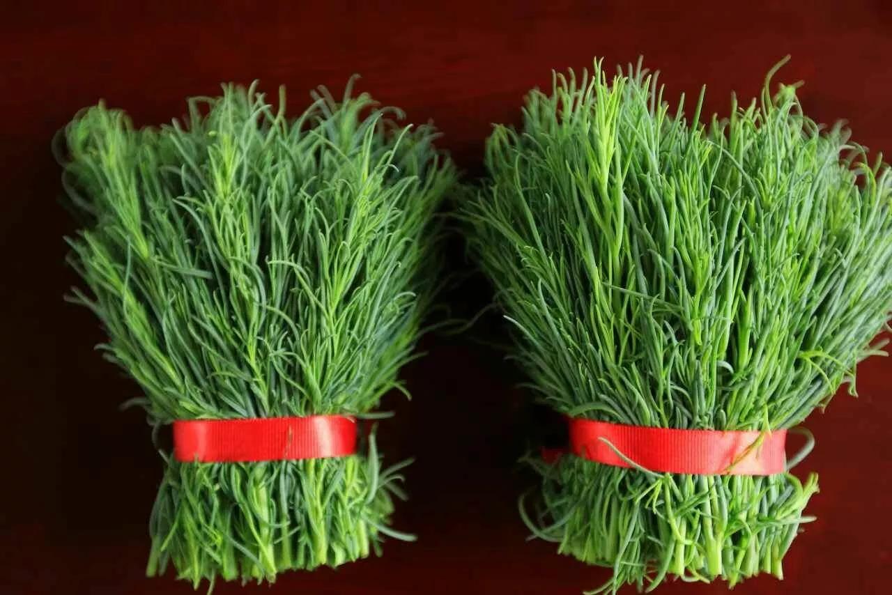 这52种野菜,都是人间美味,你吃过几种?了解一下,别当野草错过