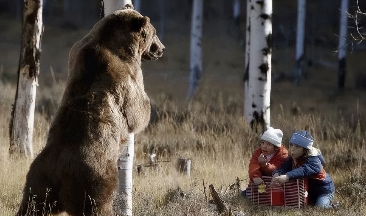 黑龙江男子挖野菜被熊攻击，遇熊时，快速离开还是“原地装死”？