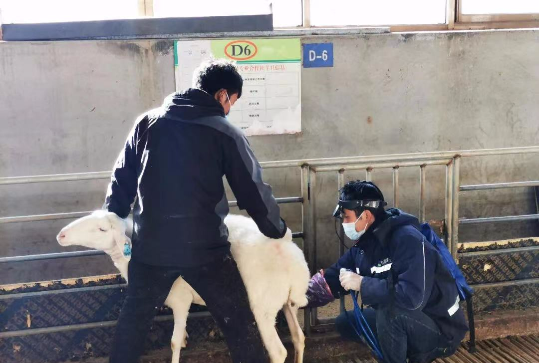 5·19中国旅游日 | 在这个夏天，让我们一起遇见临潭