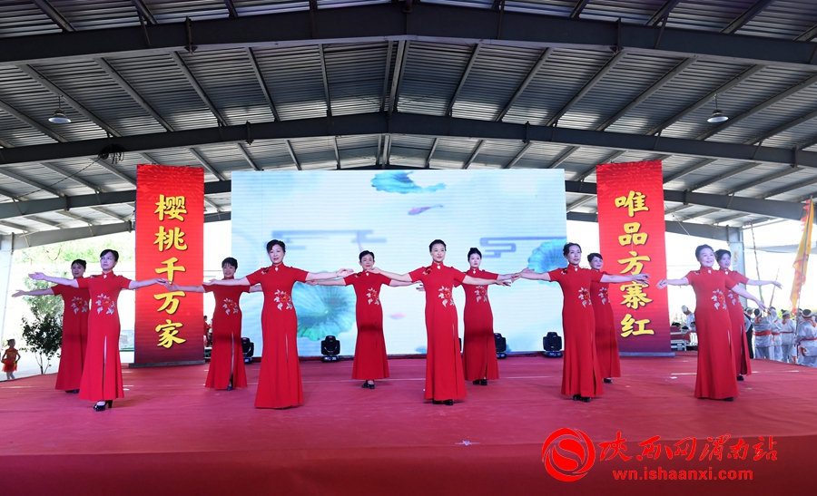 櫻桃千萬家 唯品方寨紅 合陽第五屆“方寨紅”櫻桃推介會舉辦（高清組圖）
