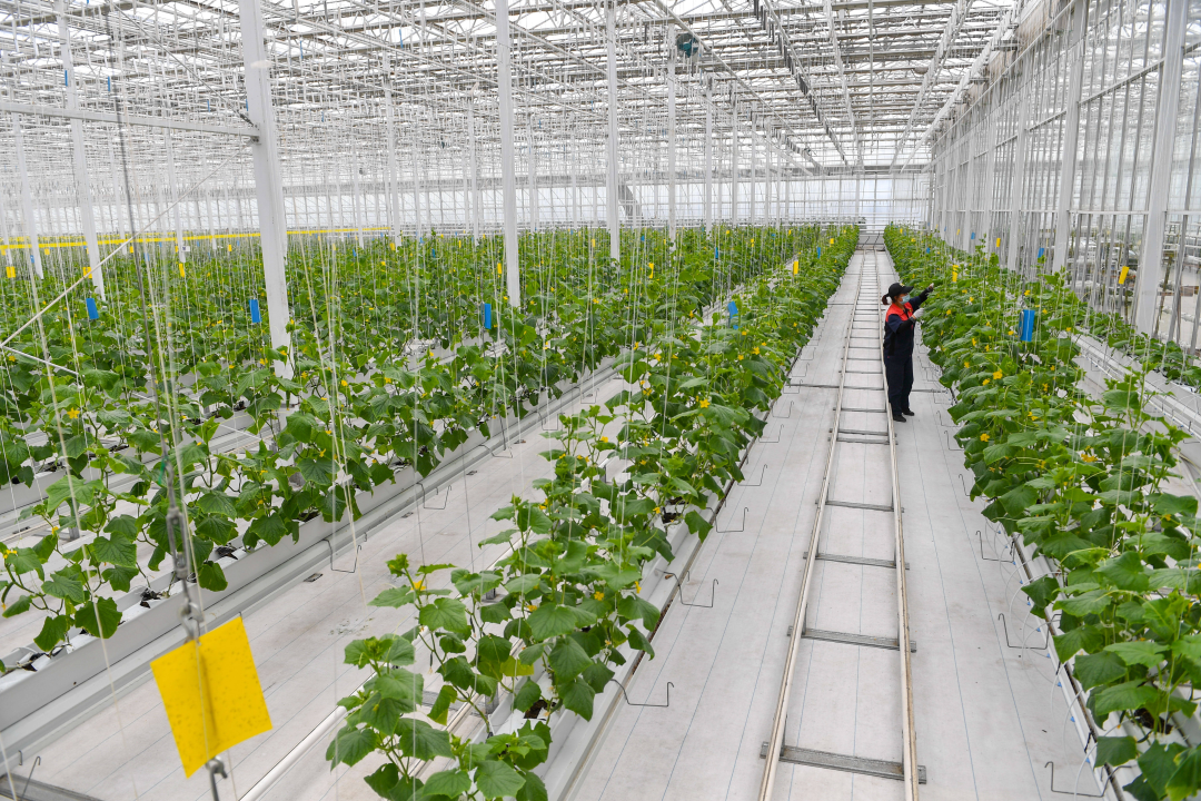 应时代所需，解缺工之急！湖北这所大学获批3个新专业，开始招生