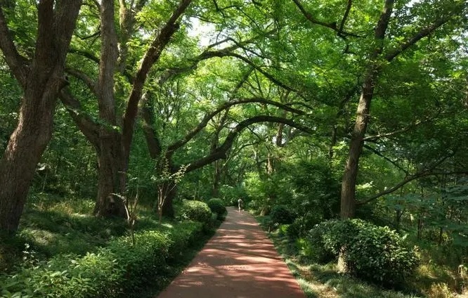 苏州旅游必去十大景点-第7张图片-巴山号