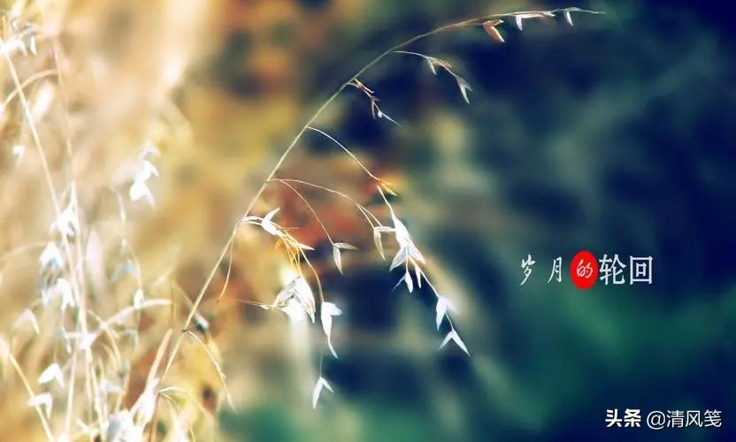 虎年遐想 | 杨耀防