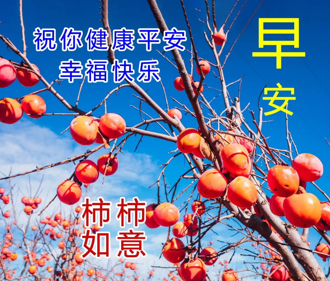 早上好，天气寒冷，问候送上！愿健康快乐与您常伴