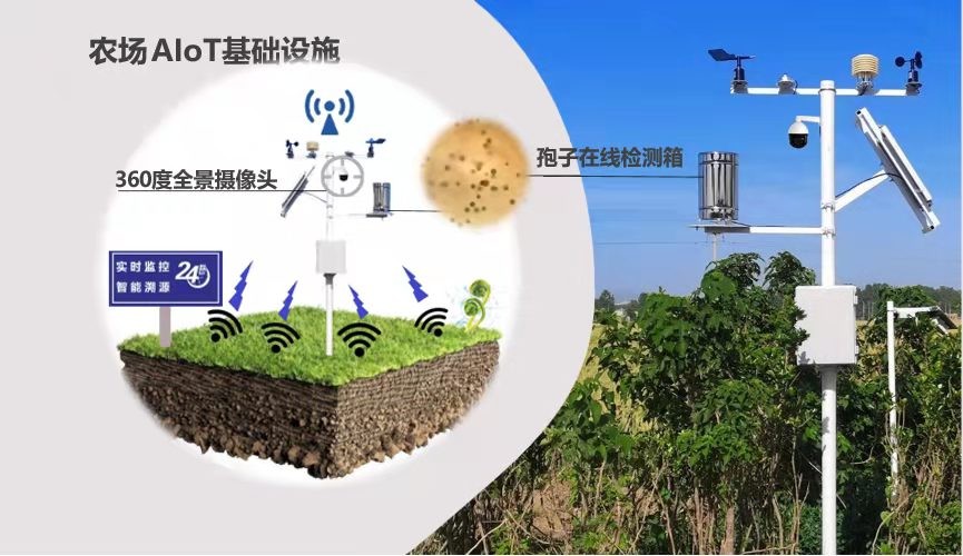 “智囊团”+“红娘”！科技镇长团助力江阴产业转型升级