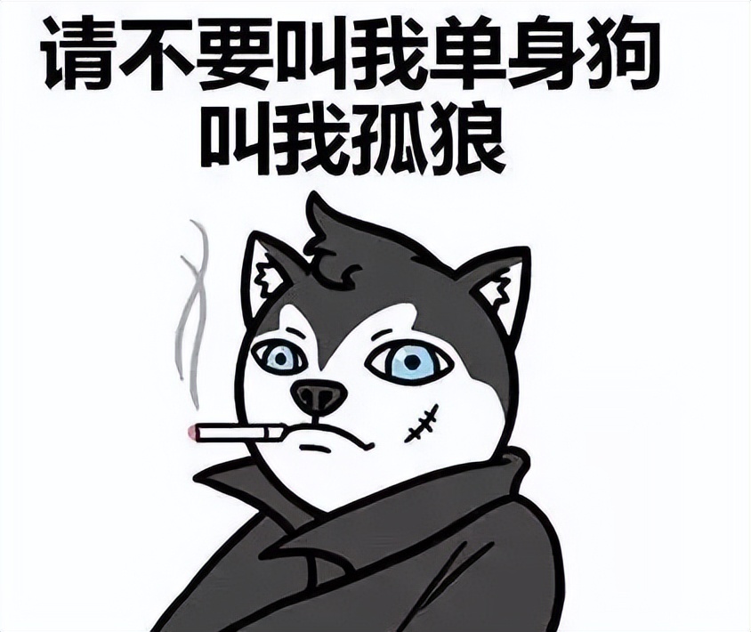 发到朋友圈被秒赞的单身狗文案