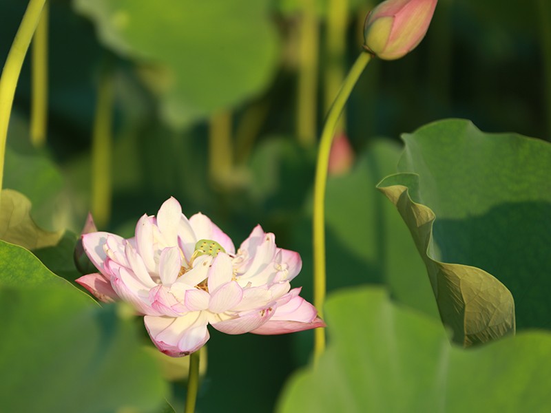 协助警方破获假烟案，案值上亿！重庆这5位学霸全员上岸名校，来自同一大学！