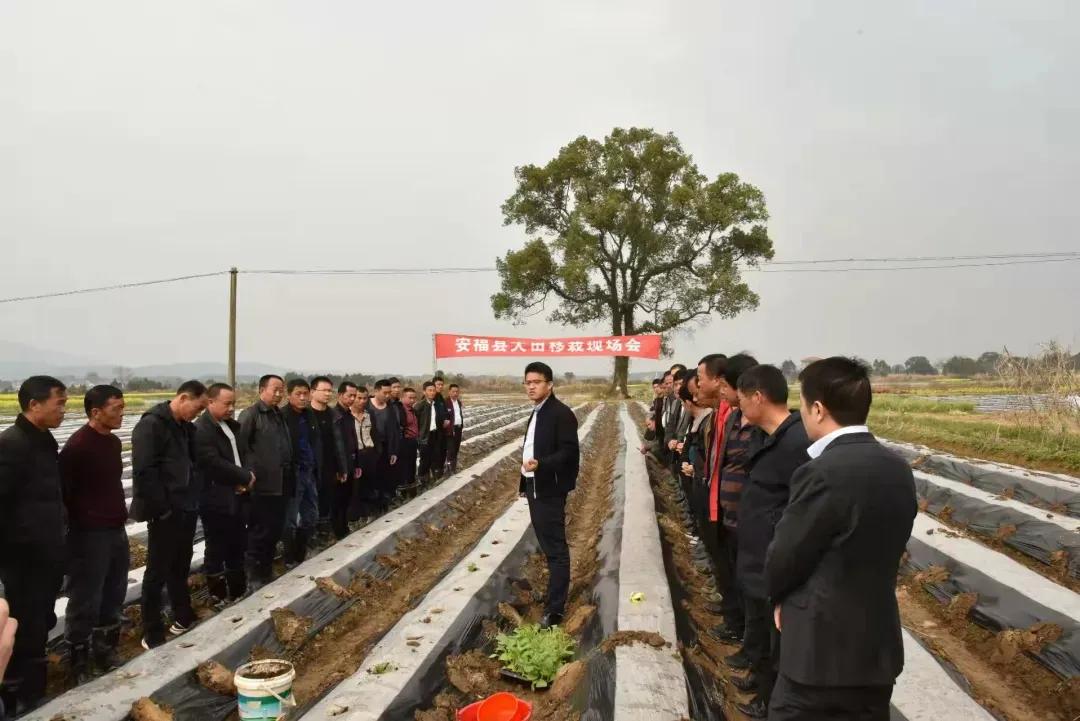 出彩农大人丨植沃土献青春的“农大学子”