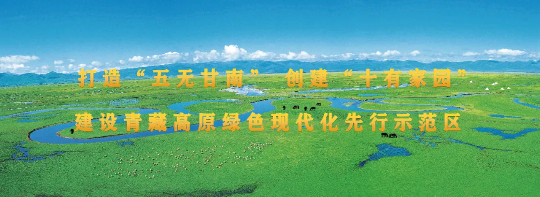 请回答,甘南2025!
