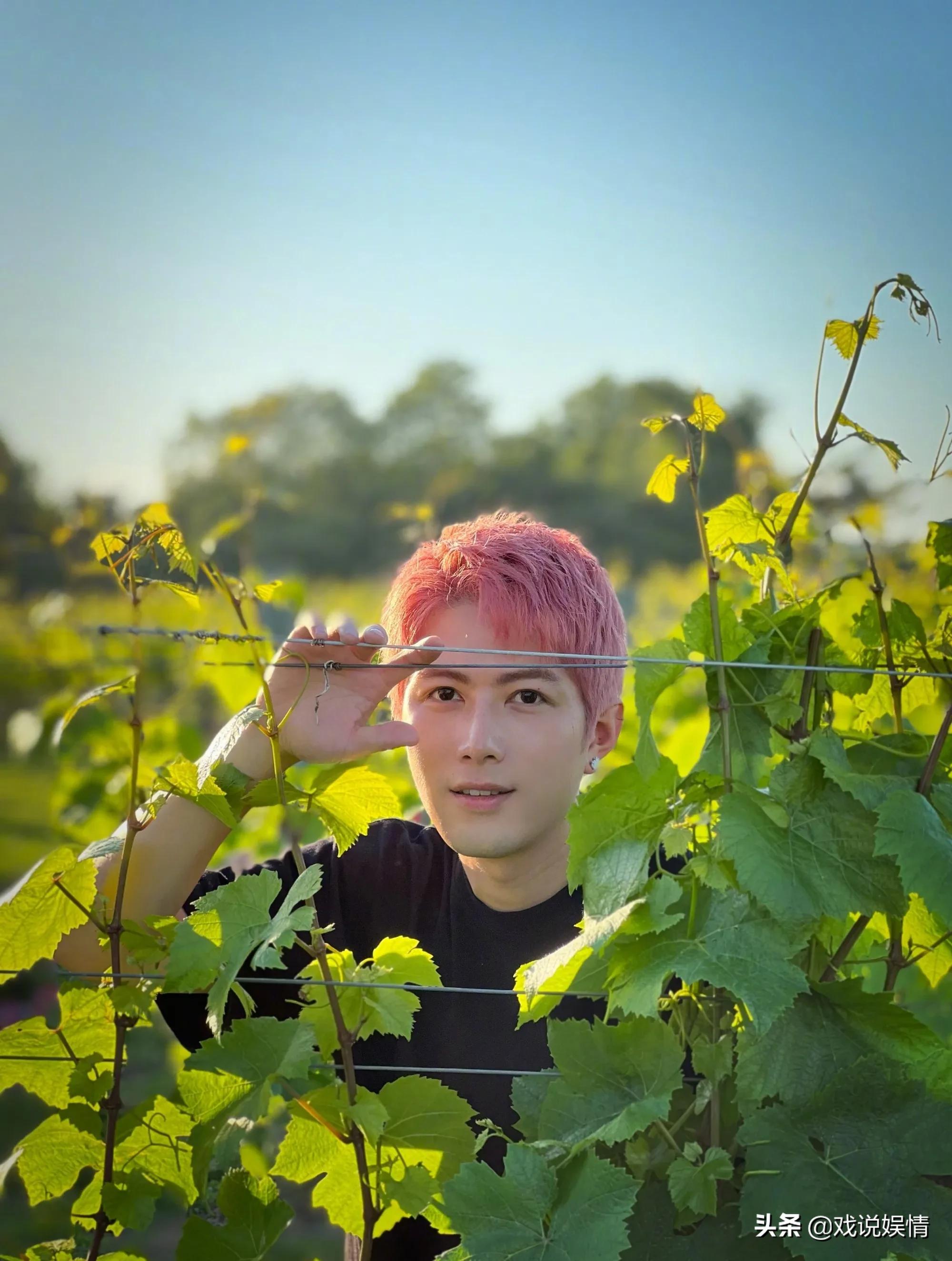 陈学冬生日景甜大方送祝福，称其为“我的小太阳”