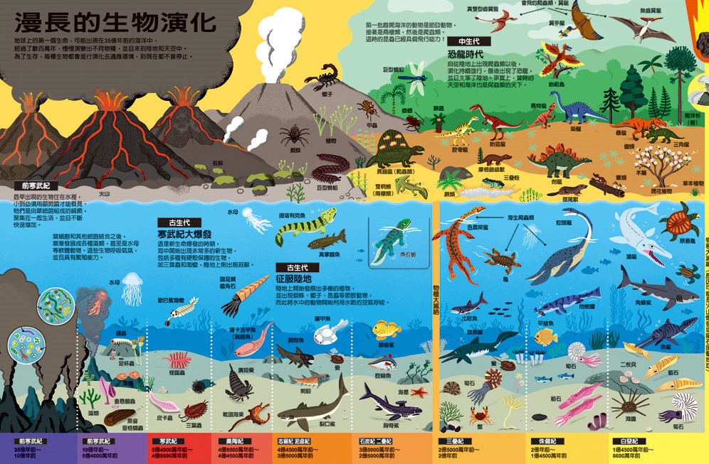 大麦虫进化过程图片图片