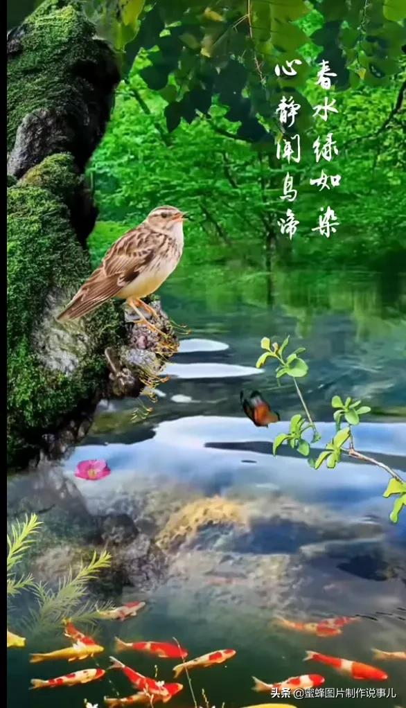 大自然美景,如诗如画,令人心旷神怡