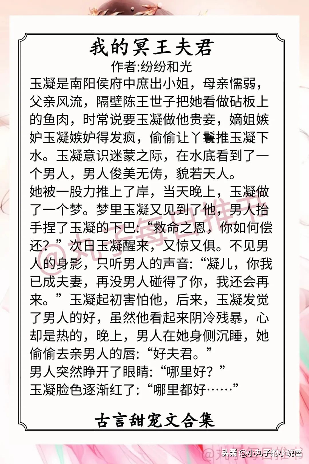 美人宠代理价格表（强推）