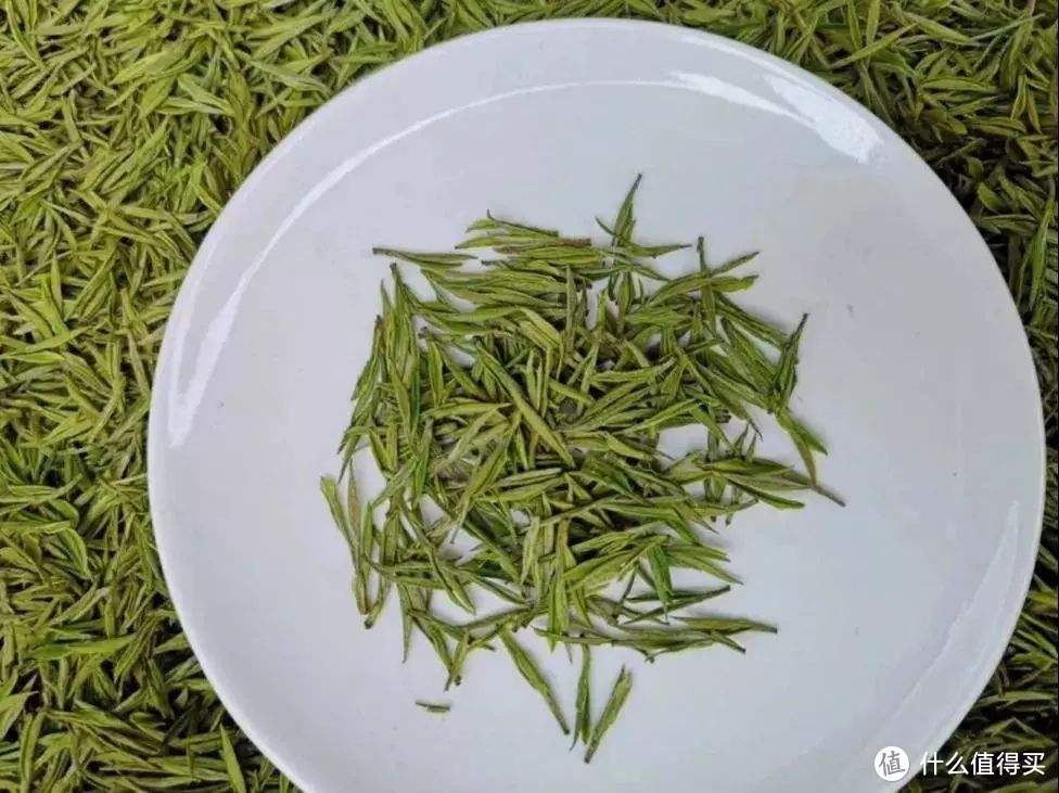 这些茶叶不算便宜但是很好喝，春节前值得一囤的茶叶梳理