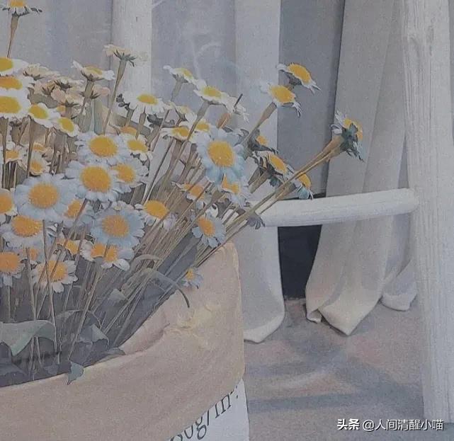 不合群的你真的很酷——写给大学喜欢独来独往的人