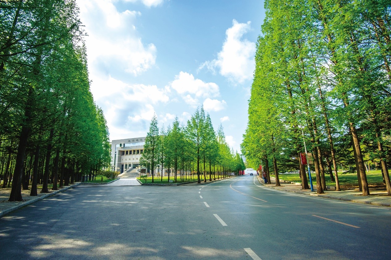 超“壕”！东北一高校7天建起一座桥，在宿舍修“两室一厅”，全国首家！