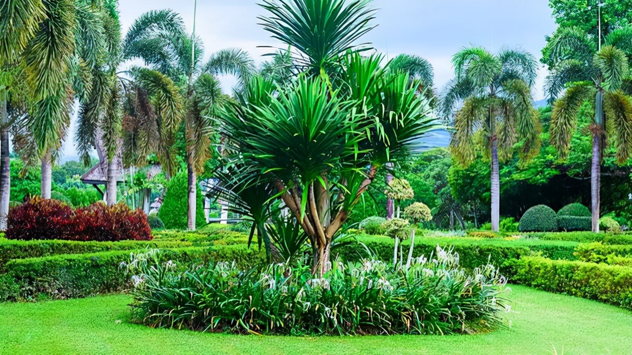 不受关注的3个专业，看似“冷门”实则发展前景好，值得学生报考
