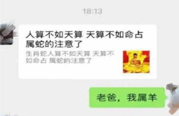 男大学生和父母的“聊天记录”走红，上演一部宫斗剧，画面感十足