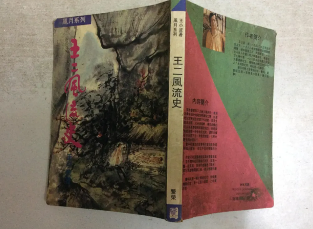 王小波《黄金时代》性描写尺度有多大？连鲁豫都差点当小黄书读了
