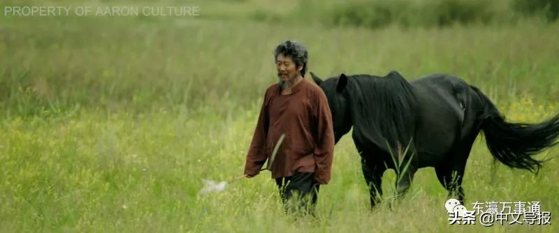 日本观众好评：中国电影《哈日夫》来日试映