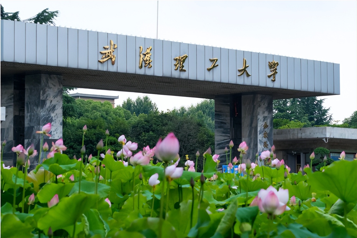 湖北财大图片