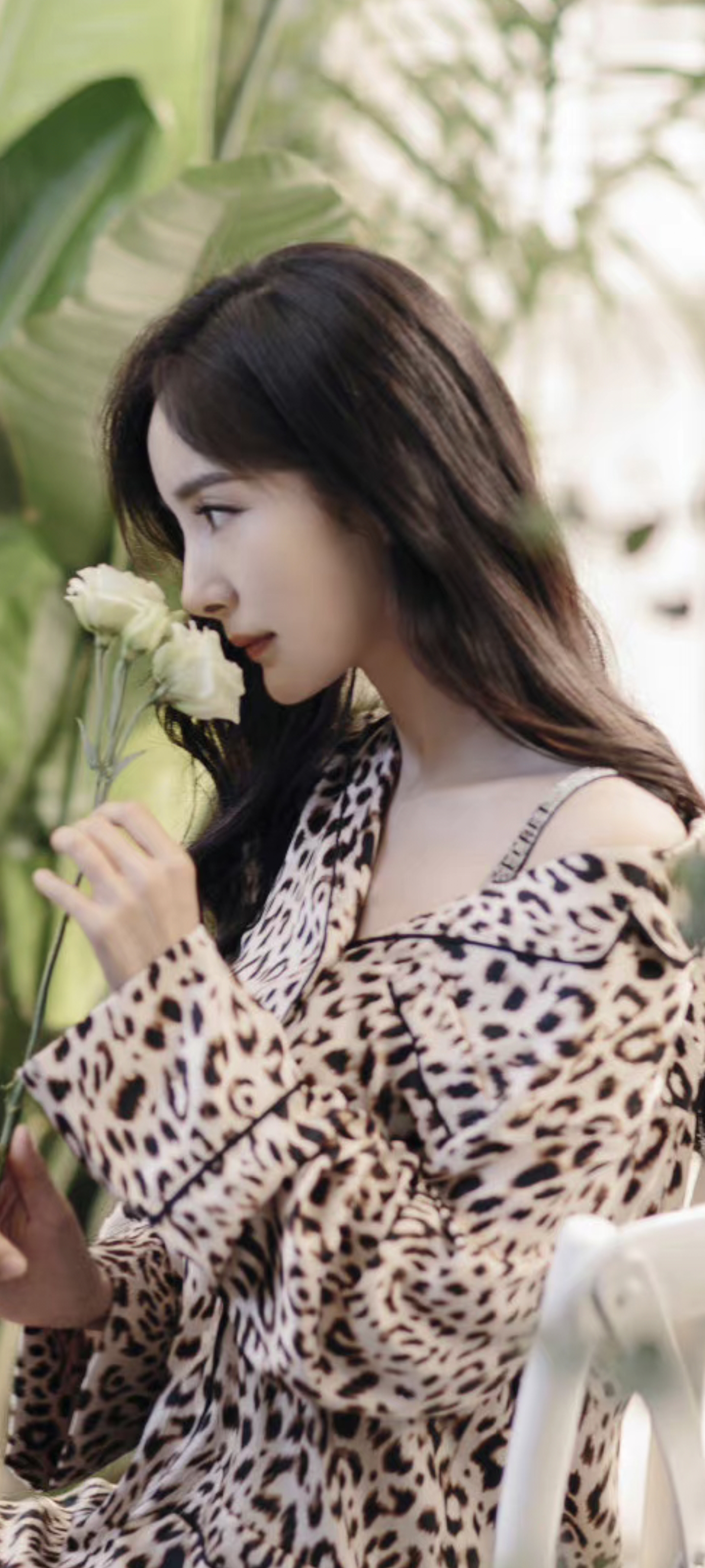 杨幂之维多利亚的秘密广告系列超高清无水印图片